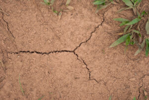 The Impact of Soil Shifting in California and How It Affects Your Pipes