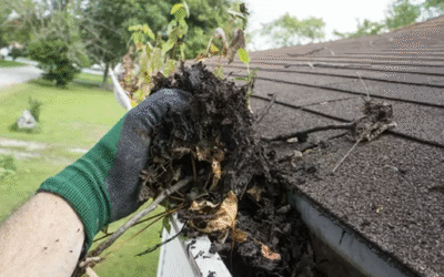 Plumbing Maintenance Tips for Fall