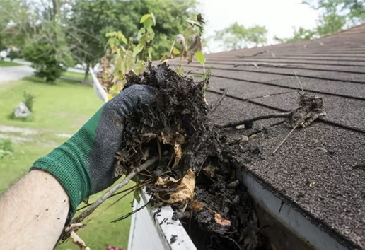 Plumbing Maintenance Tips for Fall