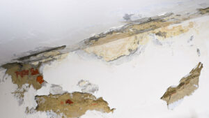 How to Tell If You Have a Leak Behind Your Walls